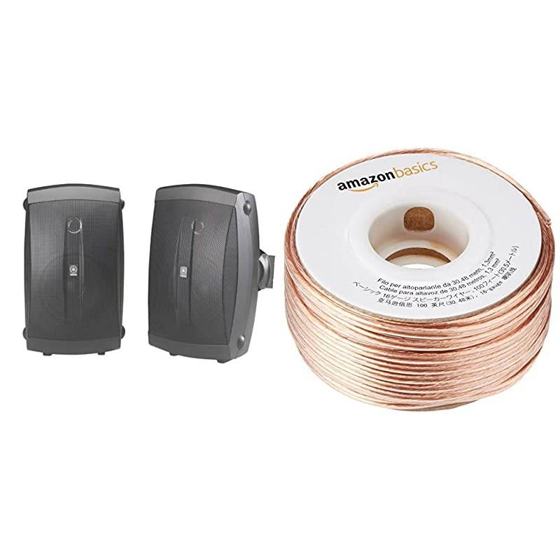 NSAW150BL 2Way IndoorOutdoor Speakers Pair Black Wired amp Basics SW100ft 16Gauge Speaker Wire 100 Feet