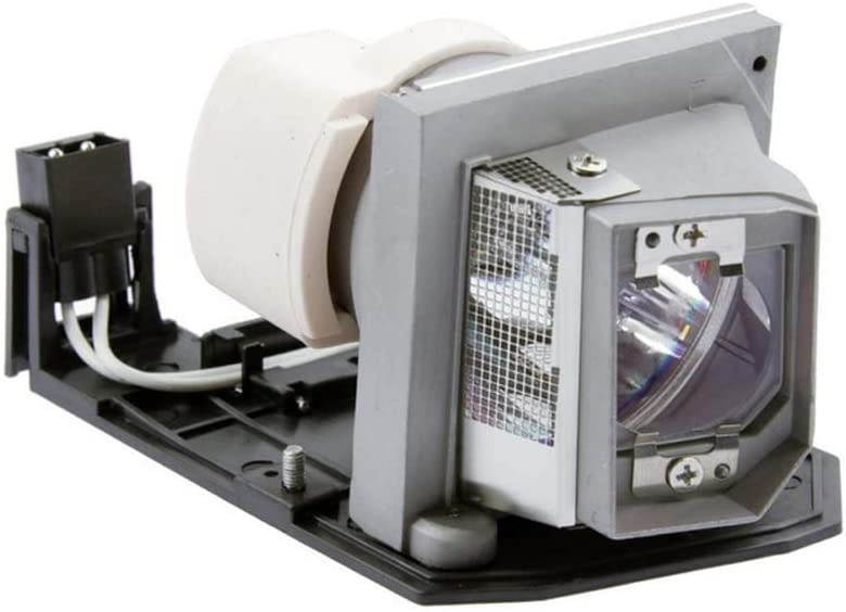 OEM Optoma Projector Lamp, Replaces Part Number BL-FP230D with Housing