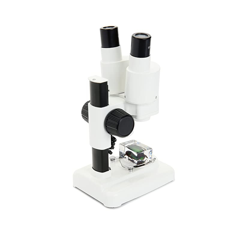 S20 Portable Stereo Microscope w/20x Power, 2 Insect Specimens in Clear Plastic, 2 AA Batteries, Upper Illuminator