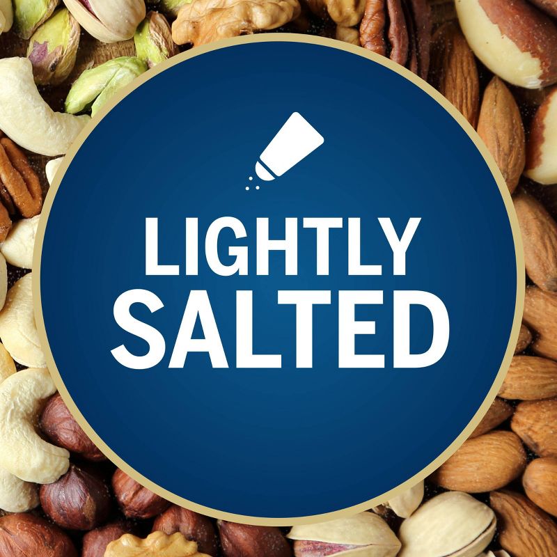 Planters Deluxe Lightly Salted Mixed Nuts-15.25oz