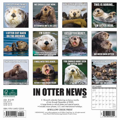 2021 In Otter News Wall