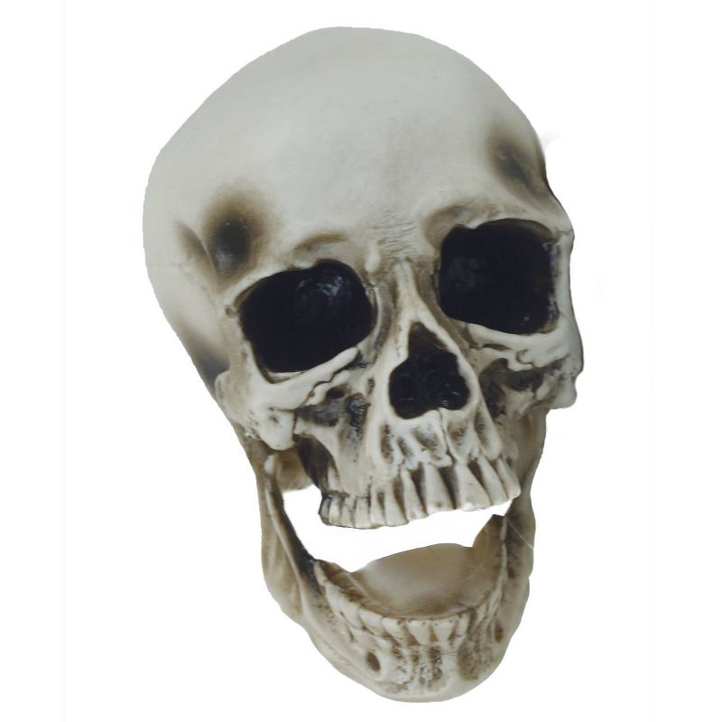 7 "Halloween Vinyl Skull