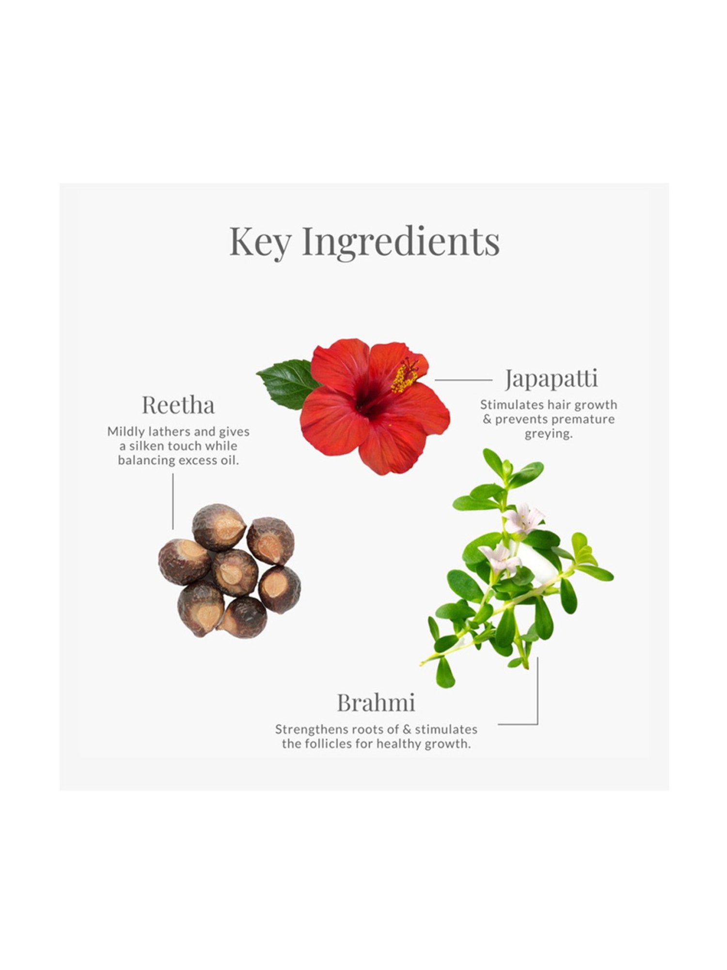 Forest Essentials Japapatti & Brahmi Ayurvedic Anti Frizz Hair Cleanser Shampoo - 50 ml