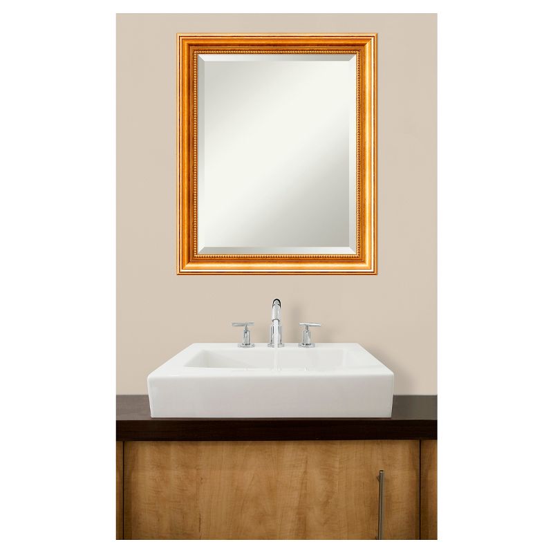 20" x 24" Townhouse Wood Framed Wall Mirror Gold - Amanti Art