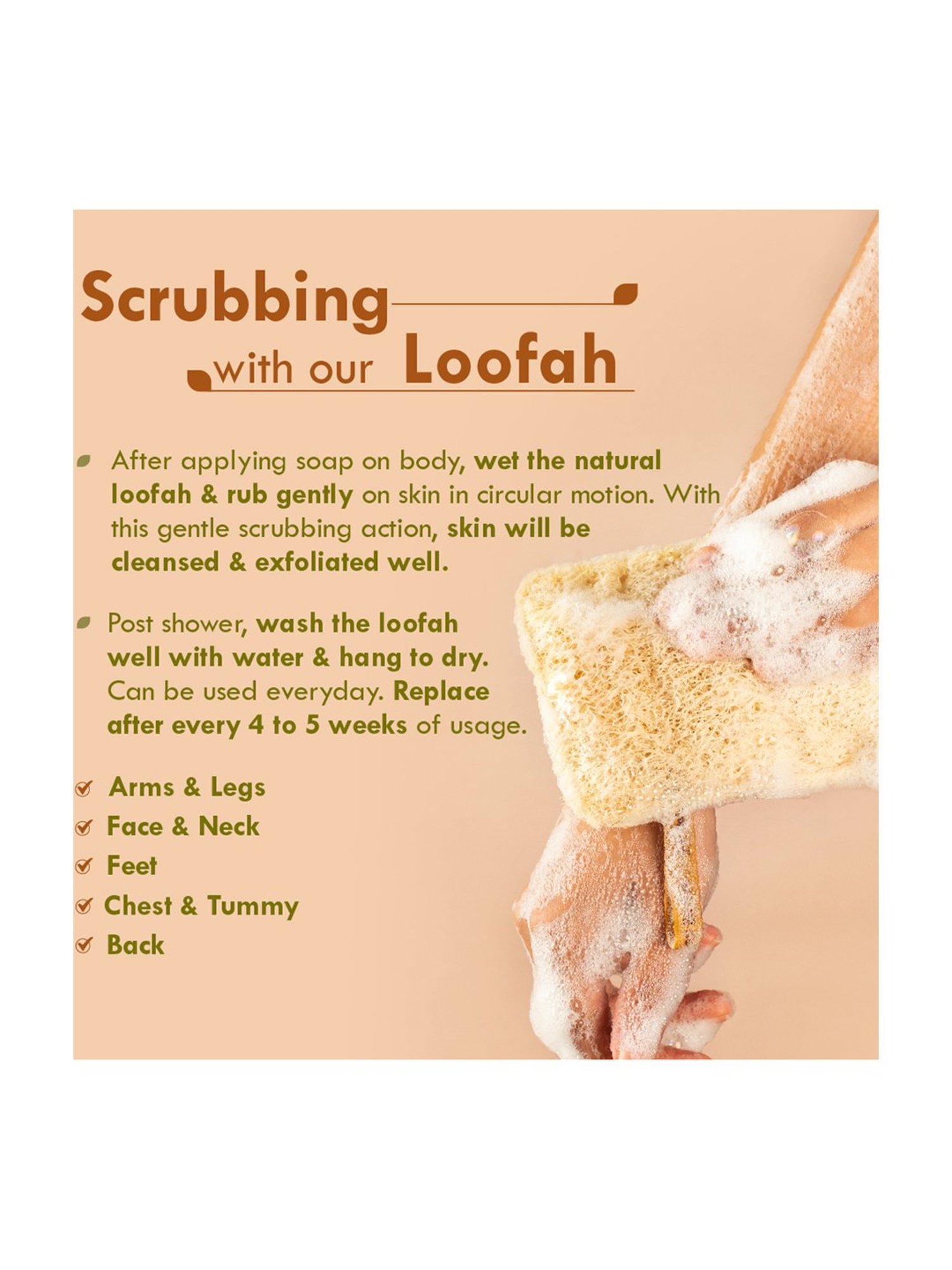 Shae Ginger Detox Body Wrap - 75 gm