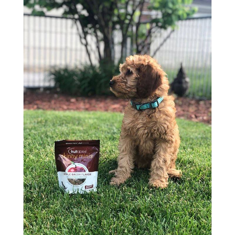 Fruitables Skinny Minis Apple Bacon Flavor Healthy Low Calorie Dog Treats - 12oz