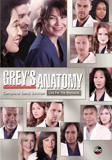 BUENA VISTA HOME VIDEO GREYS ANATOMY-10TH SEASON (DVD/6 DISC) D119407D