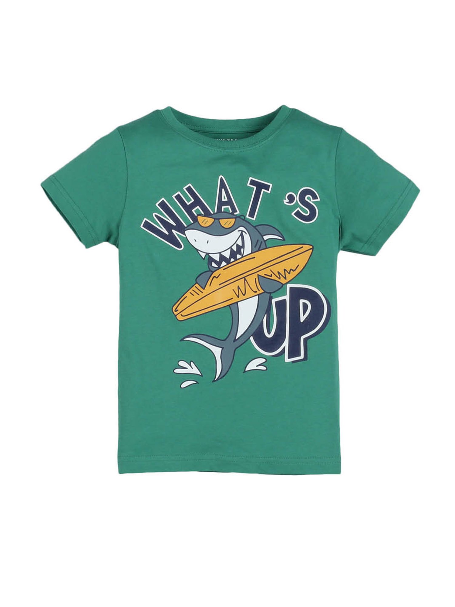 Plum Tree Kids Multicolor Printed T-Shirt (Pack Of 2)