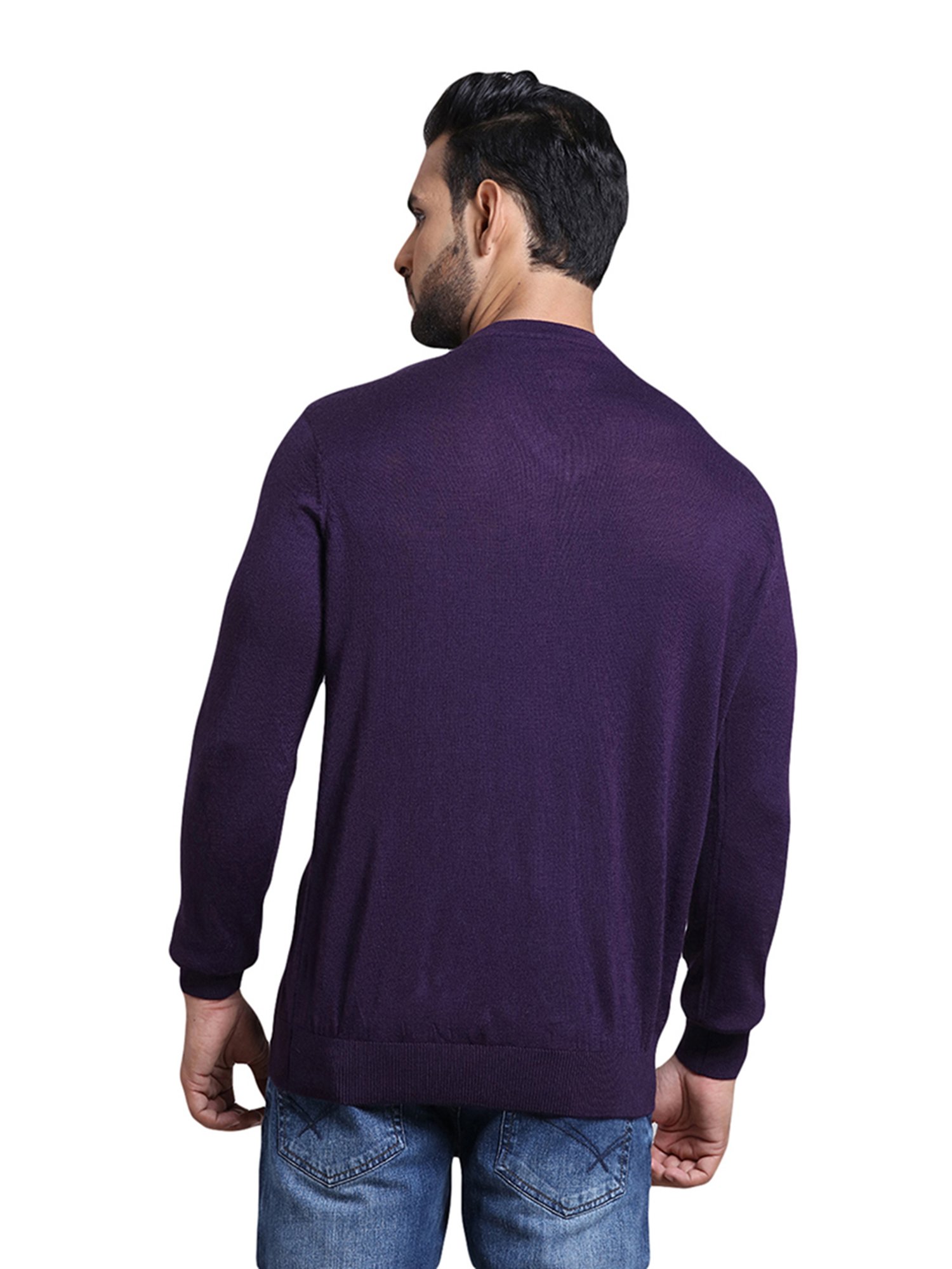ColorPlus Purple V Neck Sweater