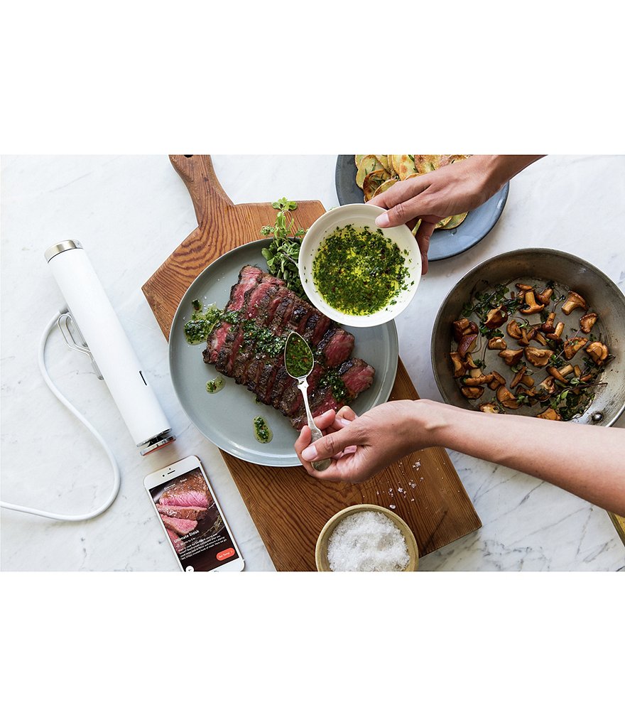 Breville Joule Sous Vide