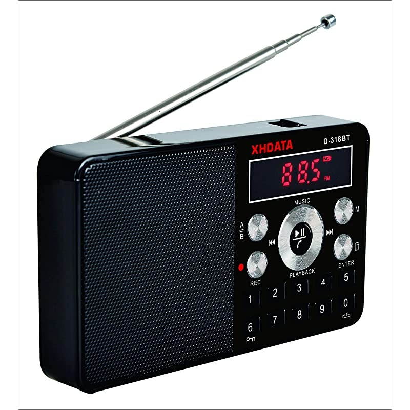 Wireless Portable Mini Bluetooth Speaker with Powerful Louder Sound D318BT MP3 Player FM Radio Recorder with Digital Audio Player with AB Repeat Good Gifts for Kids Contain 8G SD Card