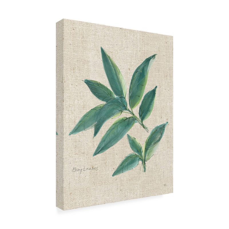 14" x 19" Chris Paschke 'Bay Leaf on Burlap' Unframed Wall Canvas - Trademark Fine Art