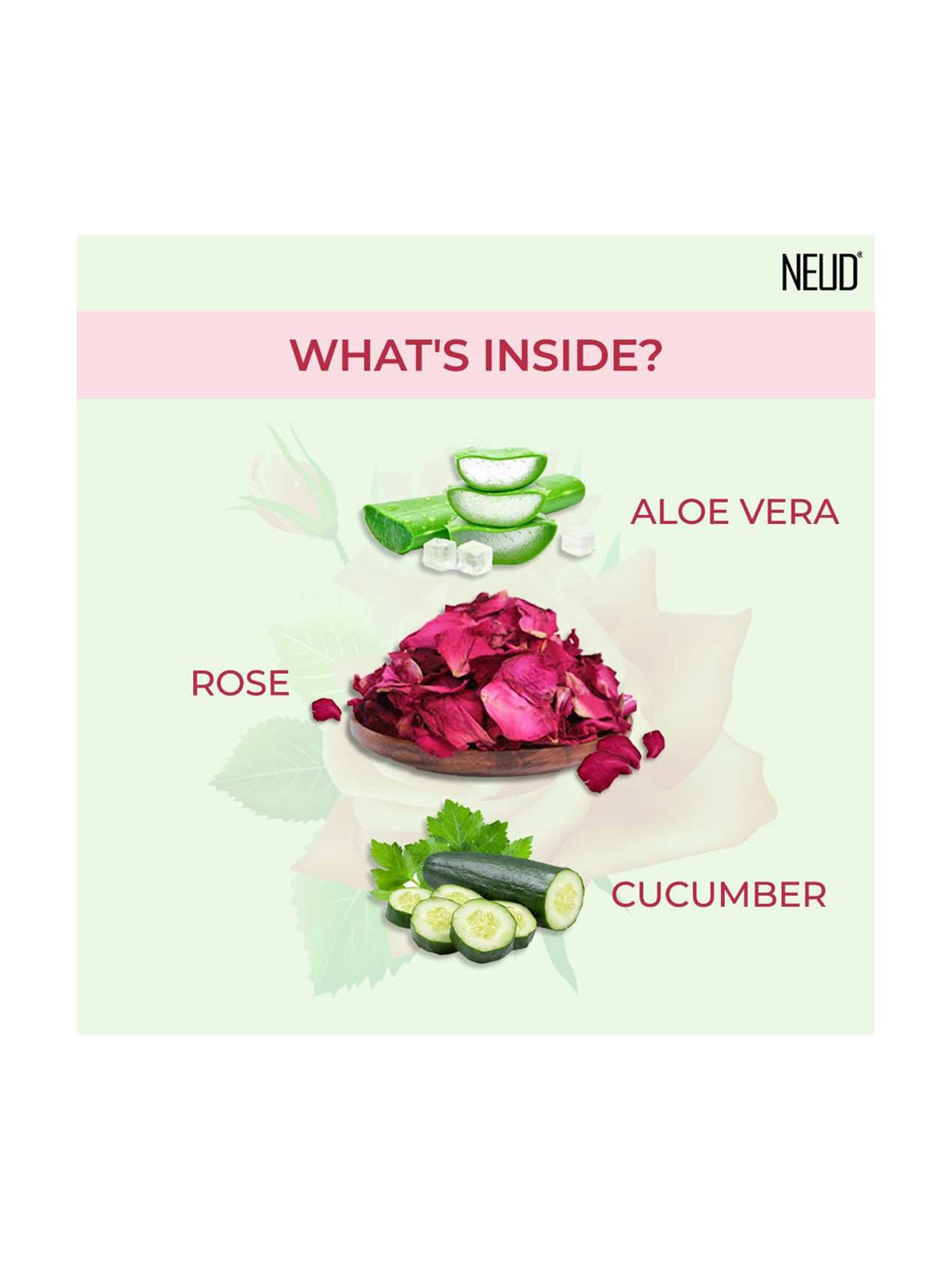 NEUD Rose Water Facial Mist Spray for Refreshed & Toned Skin - 100 ml (Pack of 1)