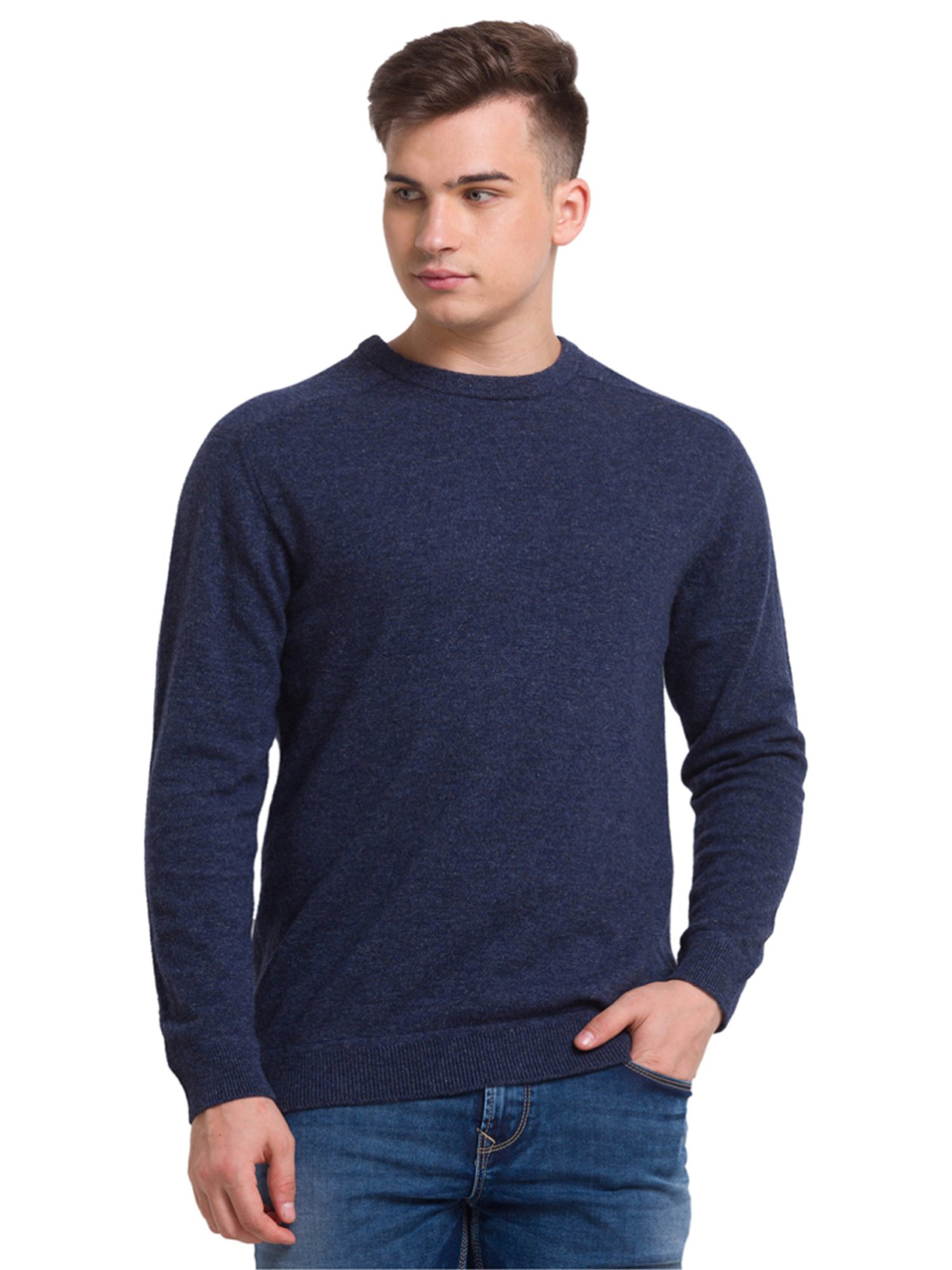 ColorPlus Blue Tailored Fit Sweater