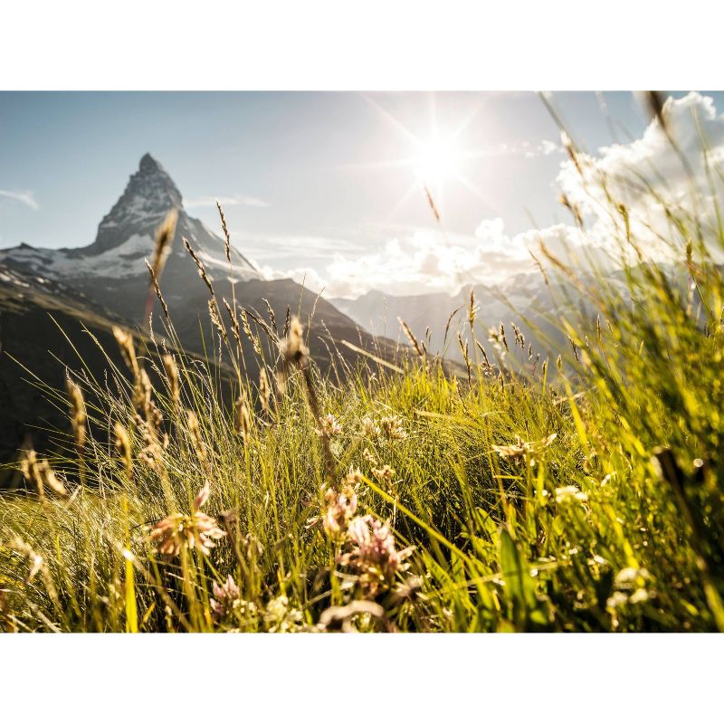 Ricola Cool Relief Lemon Frost Throat Lozenges - 45ct