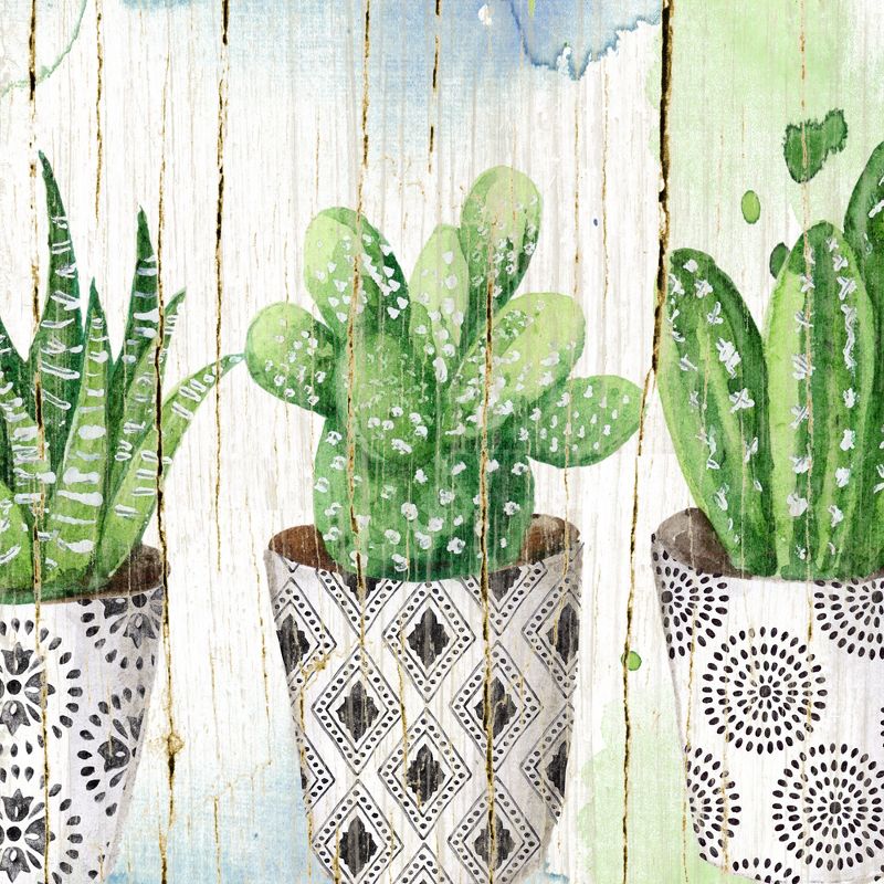 17"x34" Potted Succulents On Wood By Elena Vladykina Art On Canvas - Fine Art Canvas