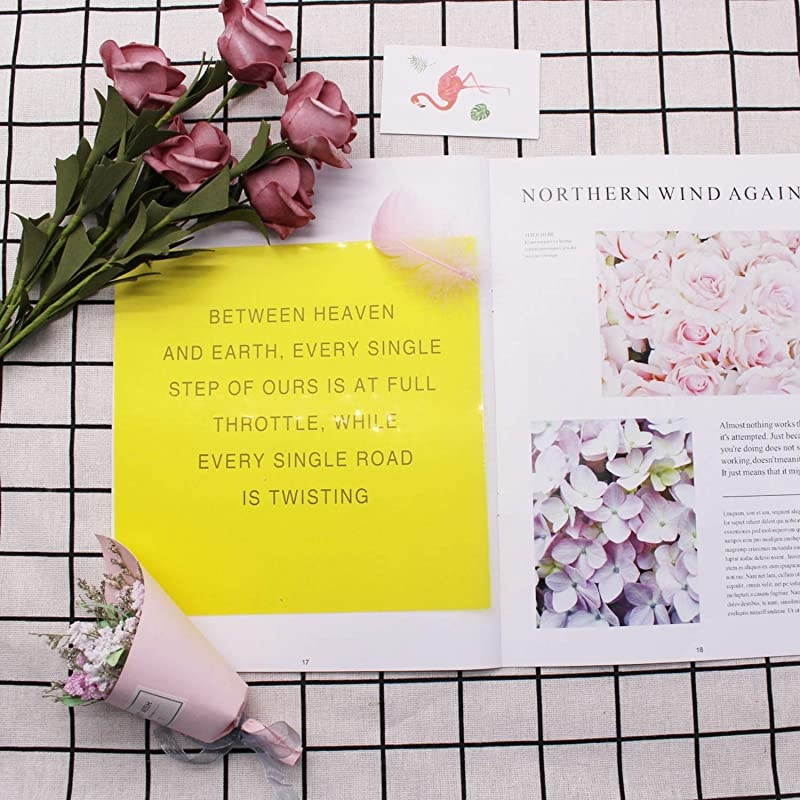 Pack Colored Overlays Transparency Color Film Plastic Sheets Correction Gel Light Filter Sheet, 8.5 by 11 Inch,7 Assorted Colors