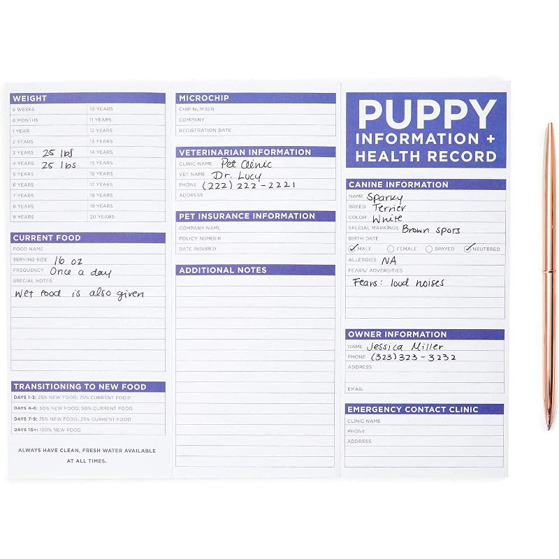 Sustainable Greetings 50 Sheets Black Stationary Paper for Arts Crafts, A4 Letter Size 8.5 x 11 in