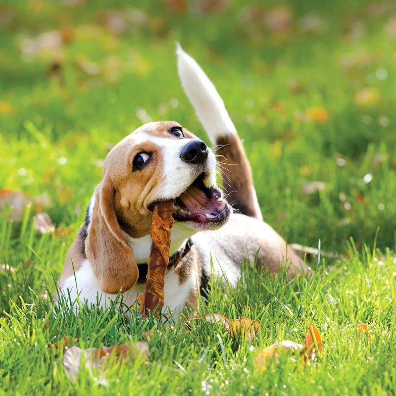 Cadet Pork Hide, Duck & Apple Triple Chews (6 Pack)