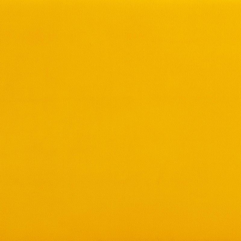 Bicknell Velvet Bench Yellow/Champagne - Holly & Martin