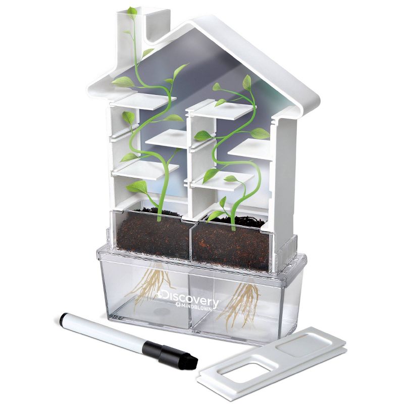 Discovery Kids Kids DIY Maze Planter Science Kit