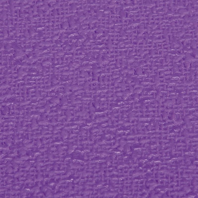 PL360 Shampoo + Conditioner For Dogs -  16oz