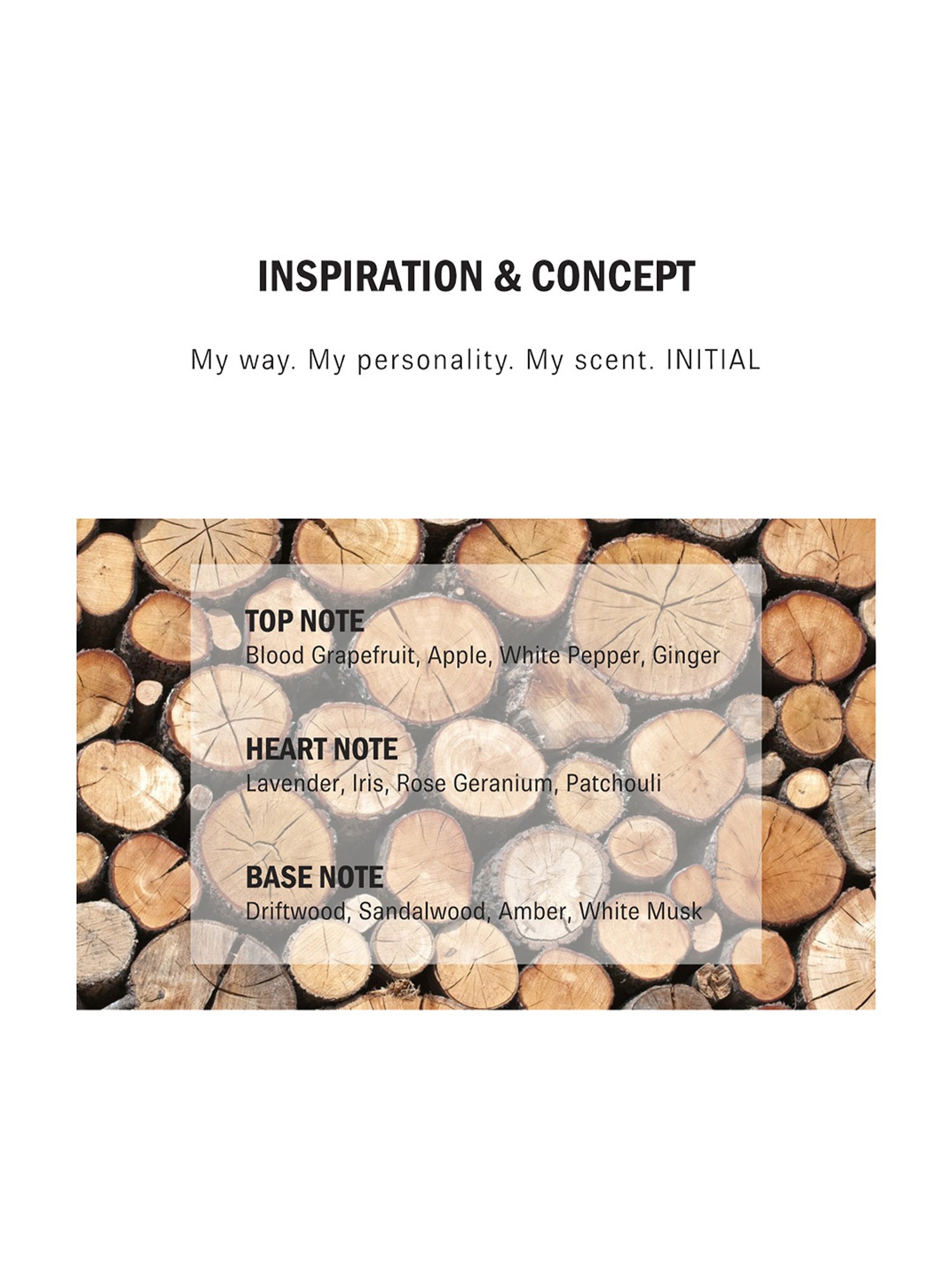 Aigner Initial Eau de Toilette - 100 ml