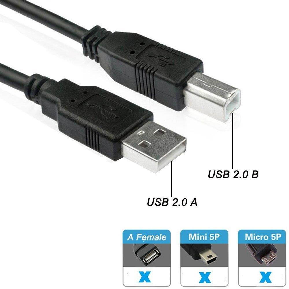YOOYE USB 2.0 Certified A to B Cable - M/M for Envy 4500, Officejet 8600, PhotoSmart 6520 7520 HP Deskjet 1000 2510 2540 3510 3520 - 6FT