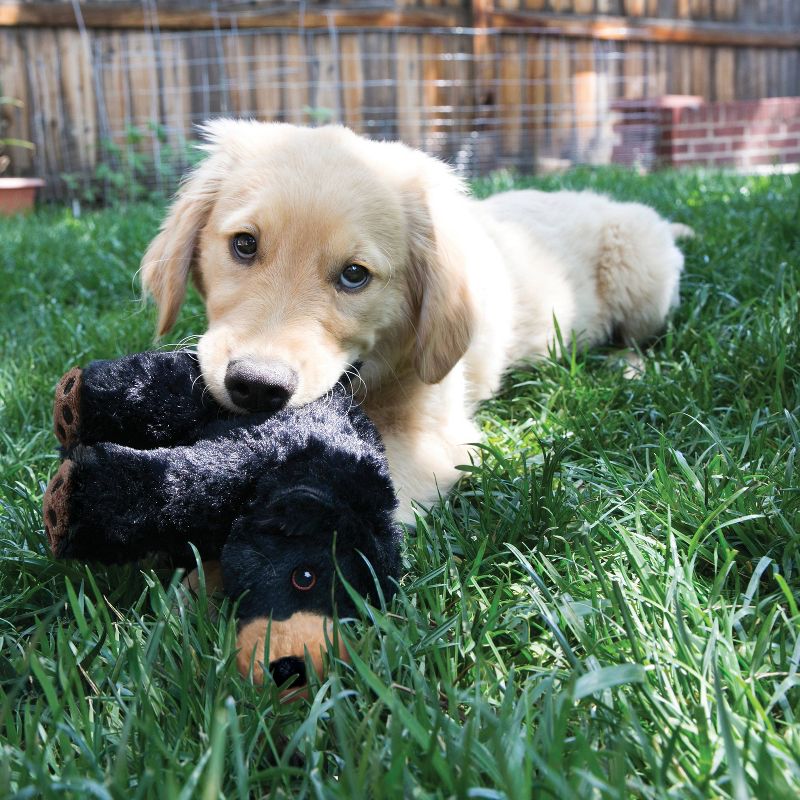 KONG Comfort Kiddos Bear Dog Toy - L