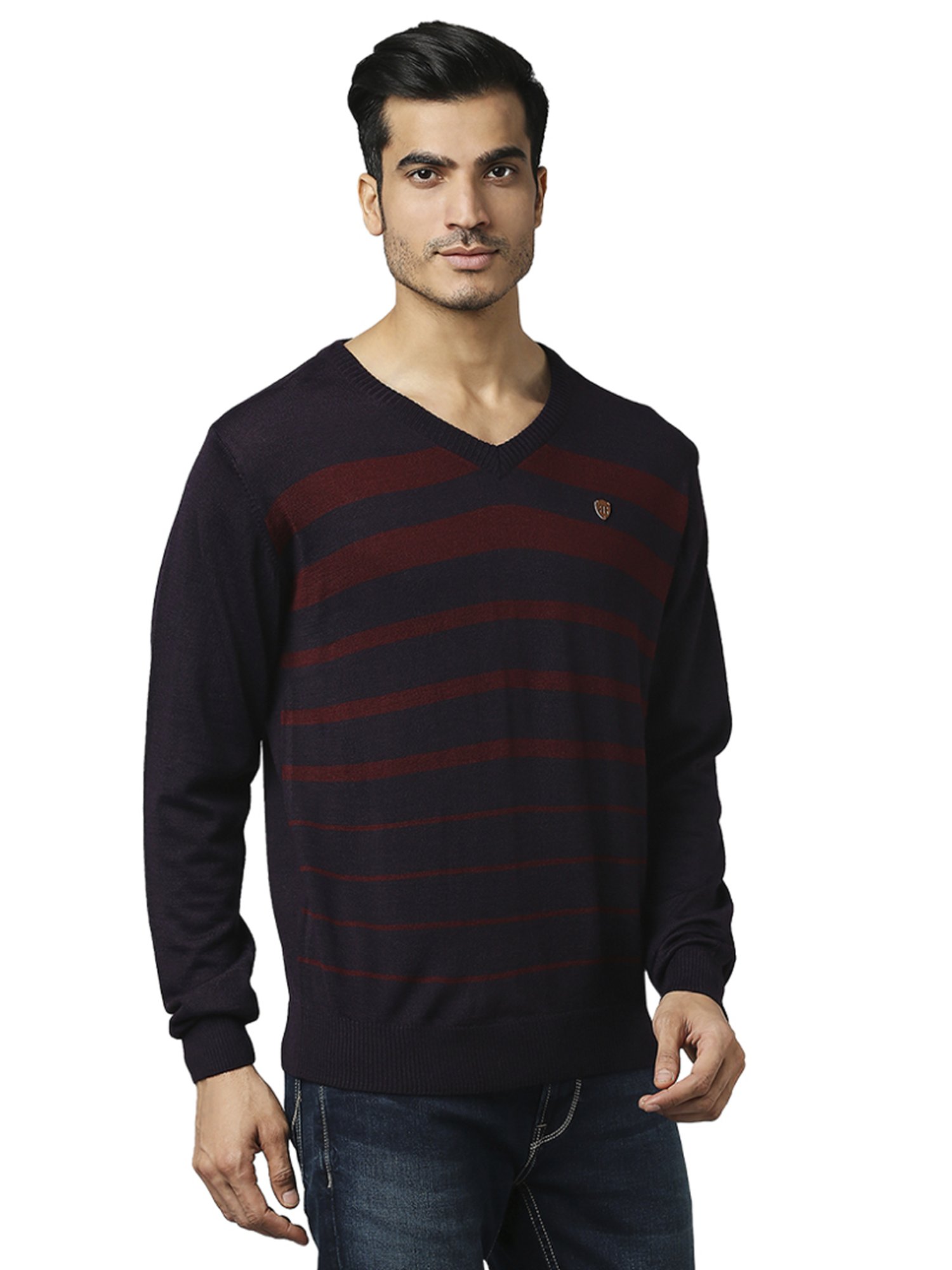 Raymond Purple  Regular Fit Striped Sweaters