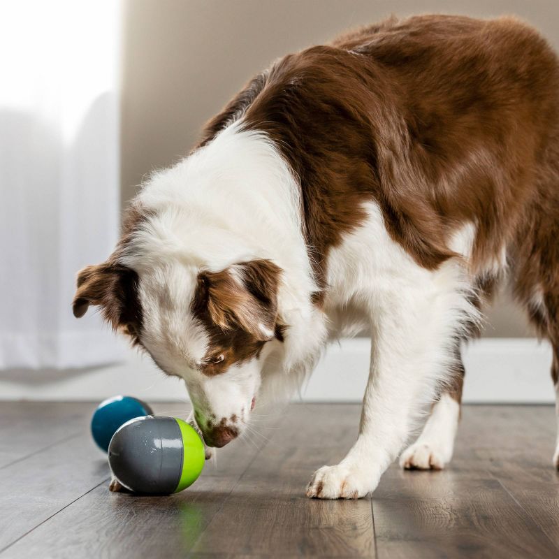 PetSafe Ricochet Electronic Dog Toy - Gray