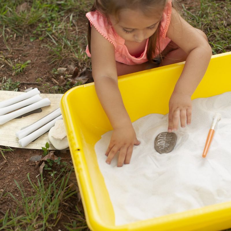 Yellow Door Play and Explore Fossils  - Set of 8