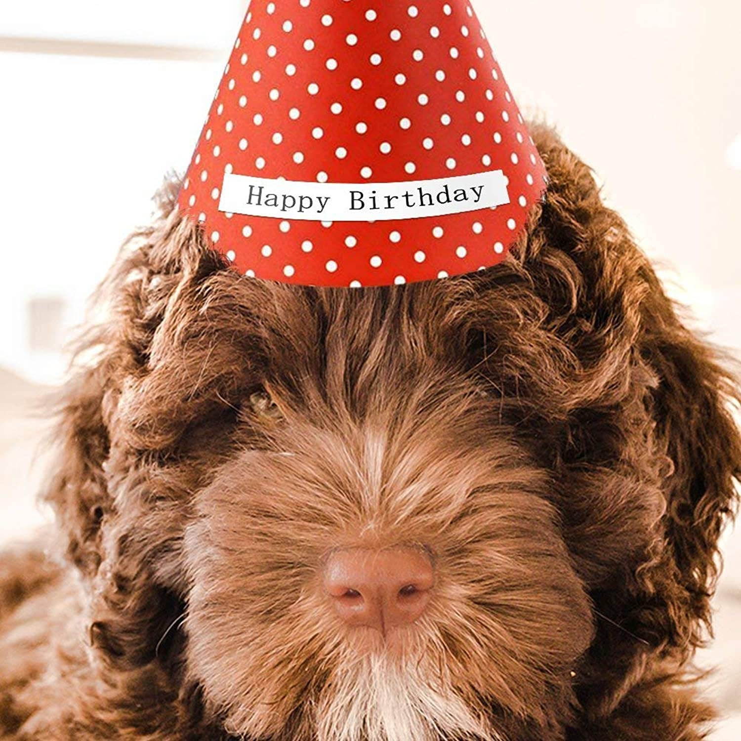 AOJE Compatible Label Tape Replacement for DYMO LetraTag Labeling Refills 16952 91330 91331, Black on Clear/White Plastic/Paper for LetraTag LT-100H LT-100T Label Maker, 1/2 Inch x 13 feet, 8-Pack