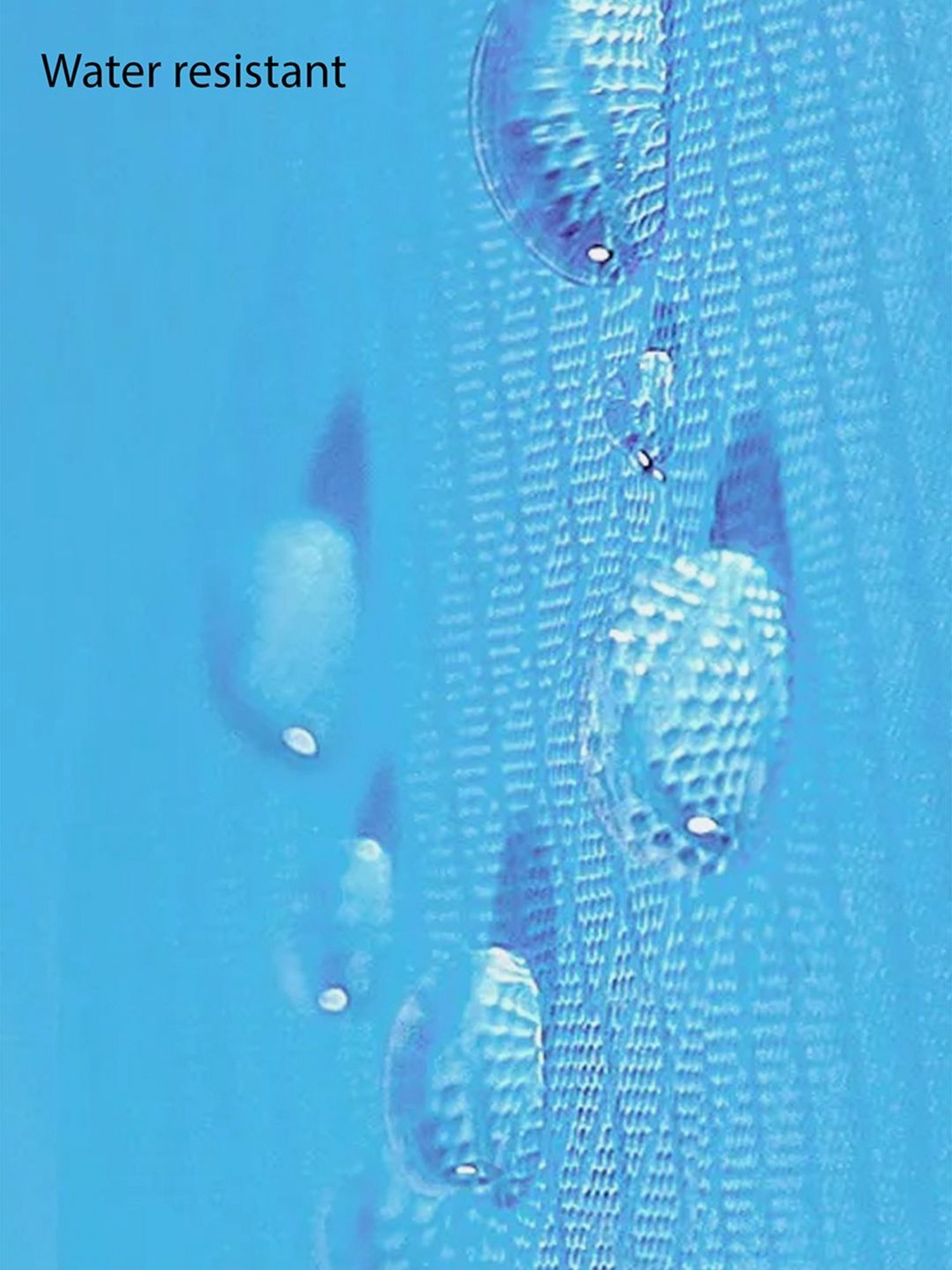 Little Surprise Box Blue Polyester Printed Swiming Backpack