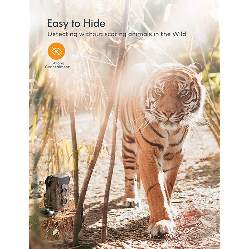 Mini Trail Camera 16MP 1080P with 16GB Micro SD Card Waterproof Night Vision Game Camera for Wildlife Detecting, Home Security