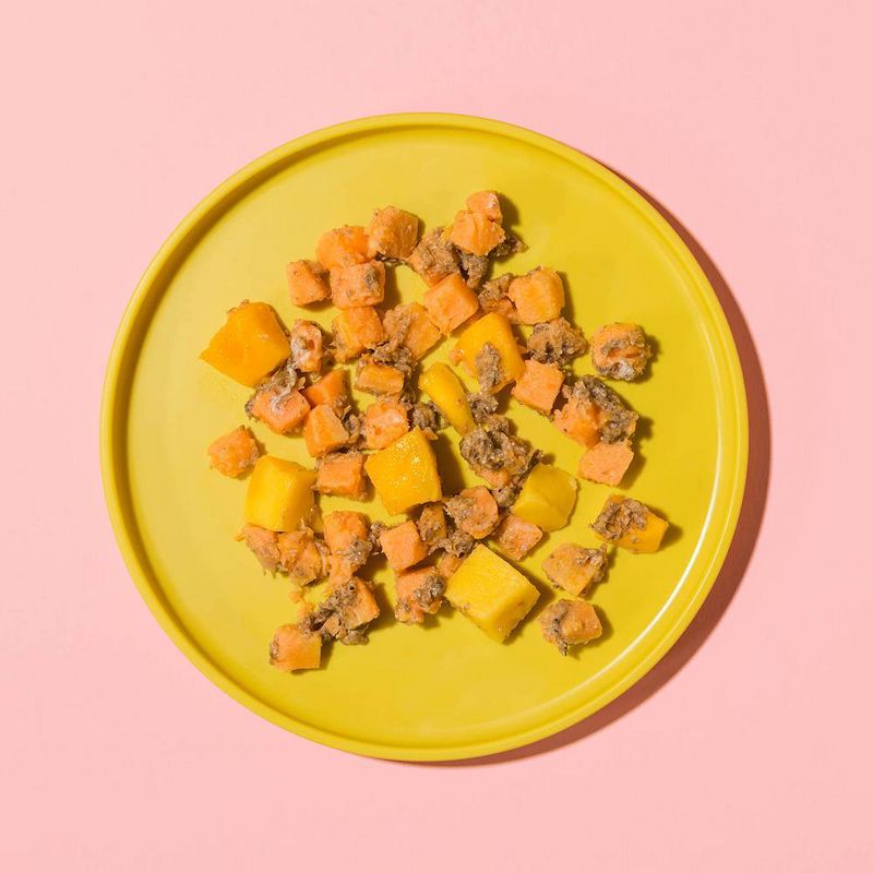 Raised Real Organic Sweet Potato + Mango Frozen Baby and Toddler Food - 3.5oz