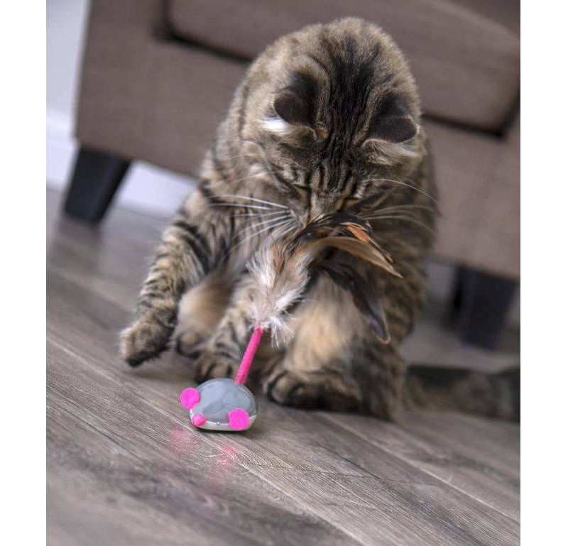 Petlinks Cheese Chaser Remote Controlled Mouse Cat Toy