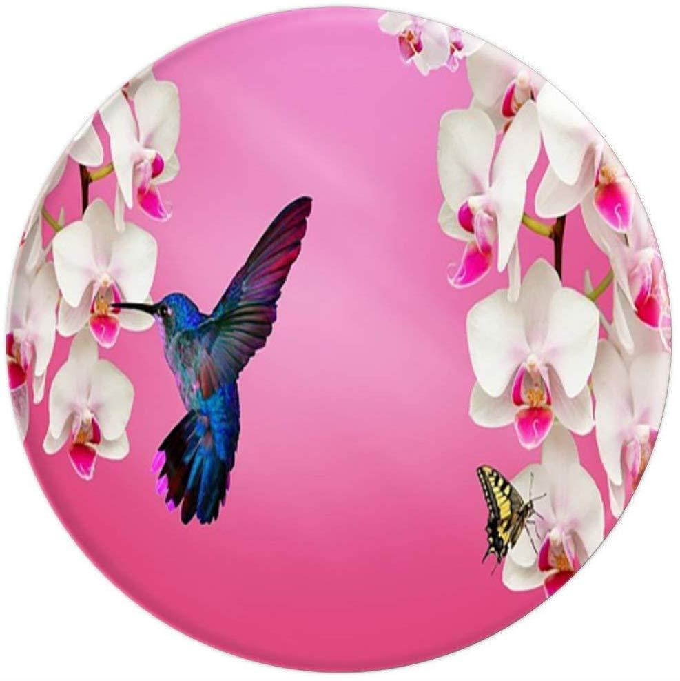 Hummingbird Watercolor Bird Floral Flowers Butterfly Nature