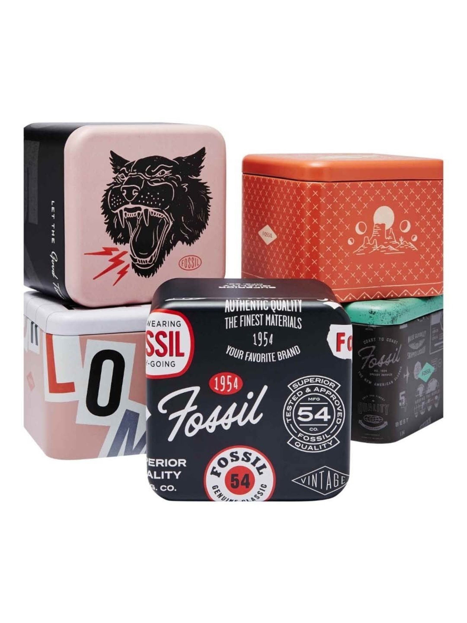 Fossil FS6031 Analog watch for Men