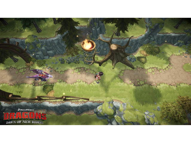 Dragons: Dawn Of New Riders - PlayStation 4