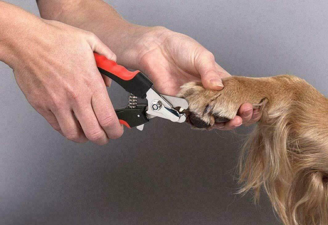 Dog Nail Clippers Cutting Scissors Claw Professional Pet Small Large Grooming