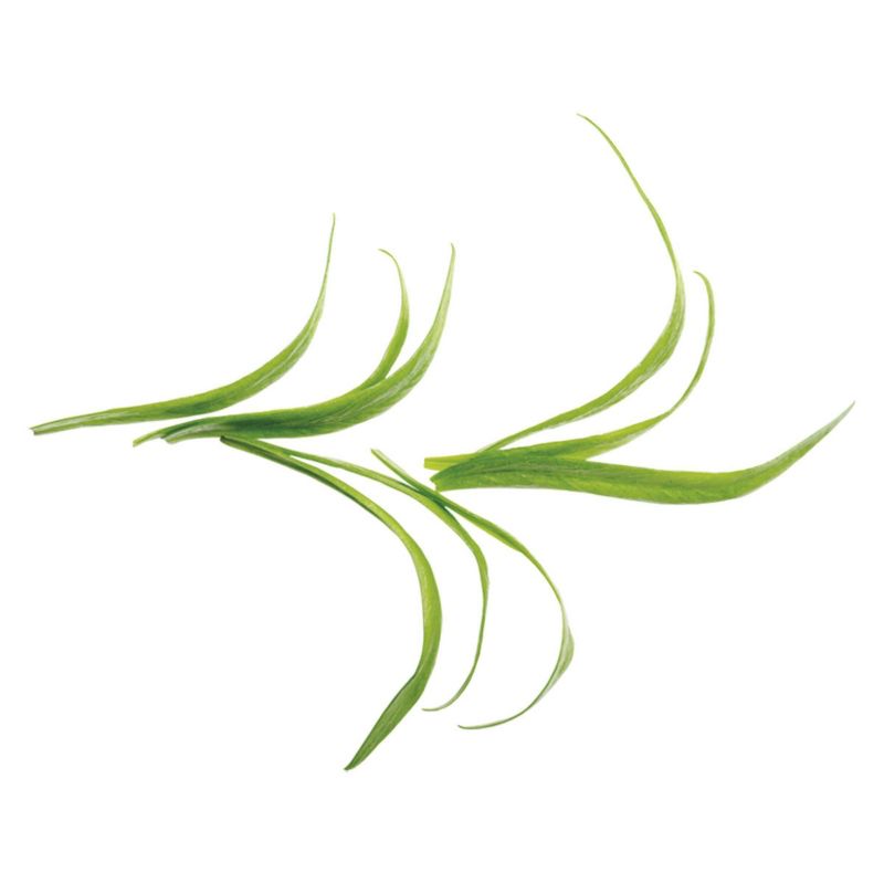 Tazo Refresh Herbal Tea - 20ct