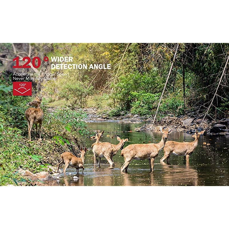 Trail Camera 20MP 1080P Game Hunting Cameras with IP66 Waterproof No-Glow Clear Night Vision and 3 Infrared Motion Sensors for Garden Outdoor Wildlife Monitoring and Home Security Surveillance
