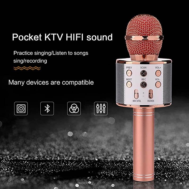 Bluetooth Wireless Microphone 3 in 1 Portable Handheld Mic Speaker Machine for Company Meeting Family Kids Party - Compatible iPhone, Android, iPad, PC and All Smartphones