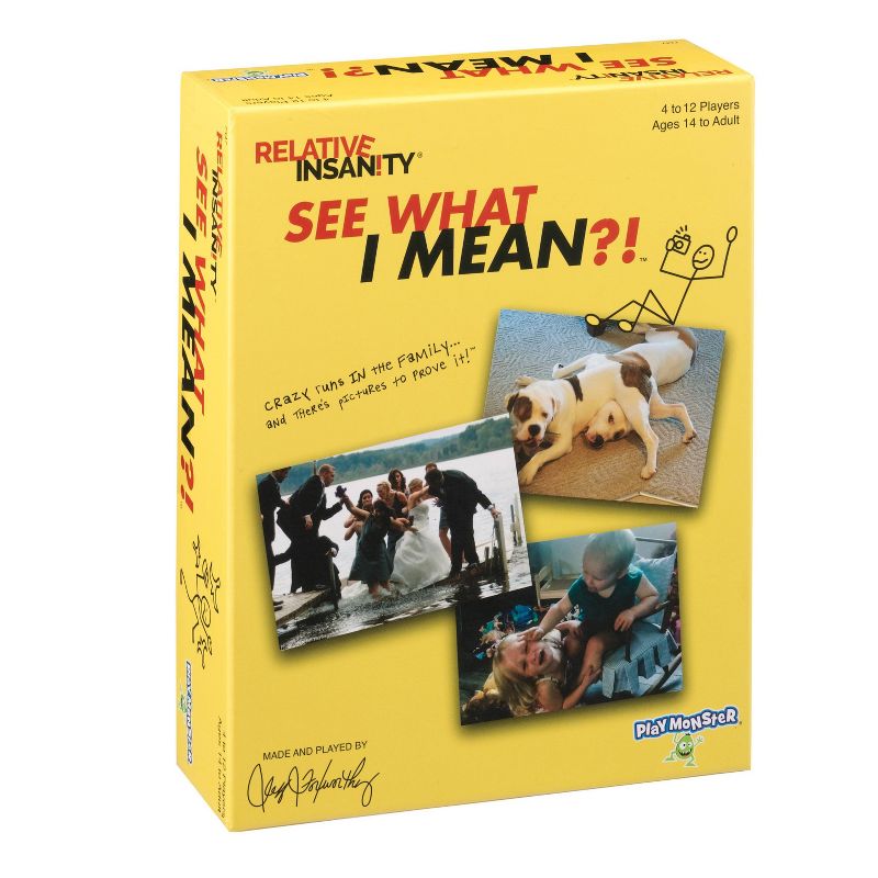 Playmonster Relative Insanity: See What I Mean Game