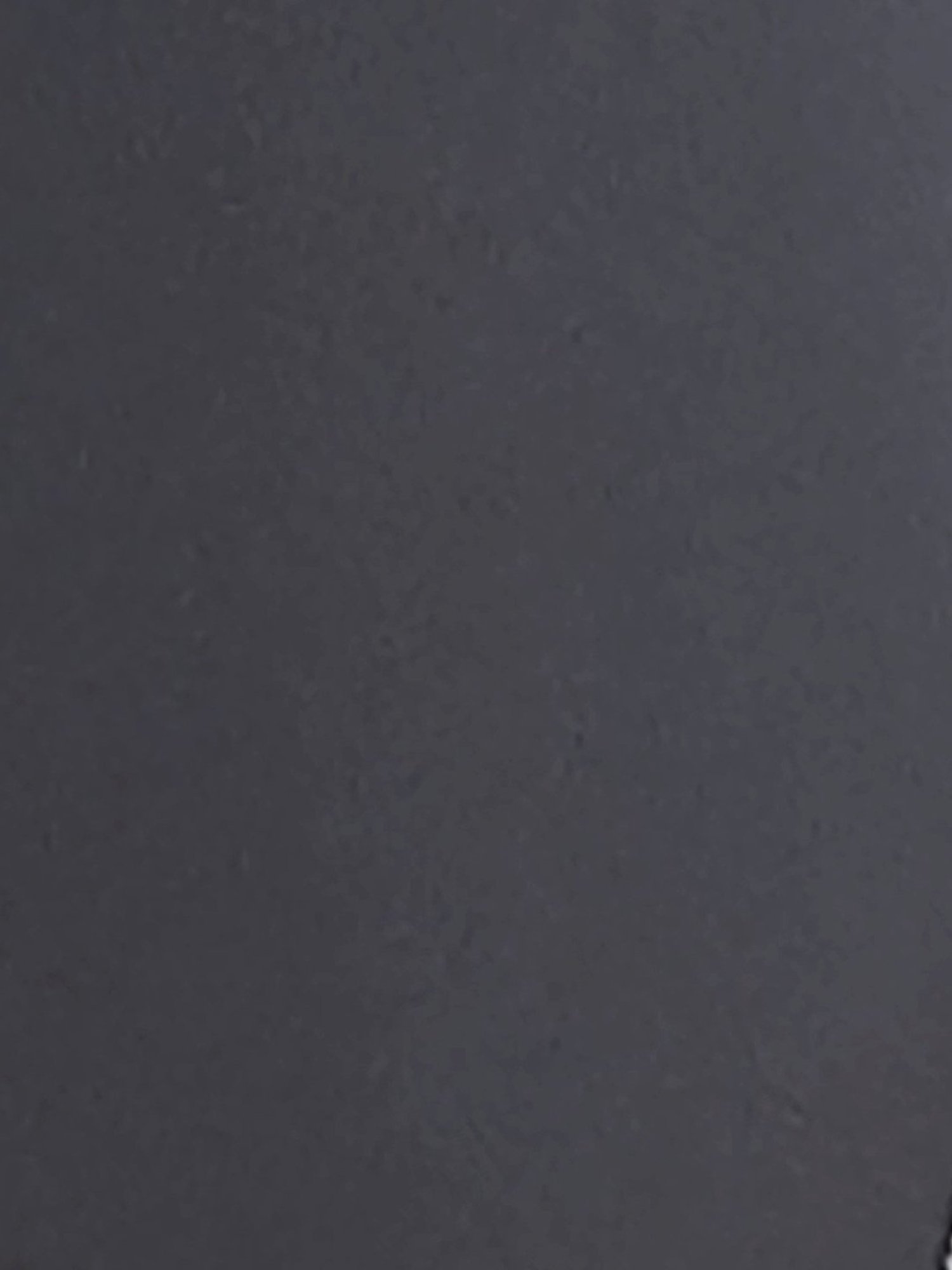 Speedo Dark Grey Regular Fit Printed Swim Shorts