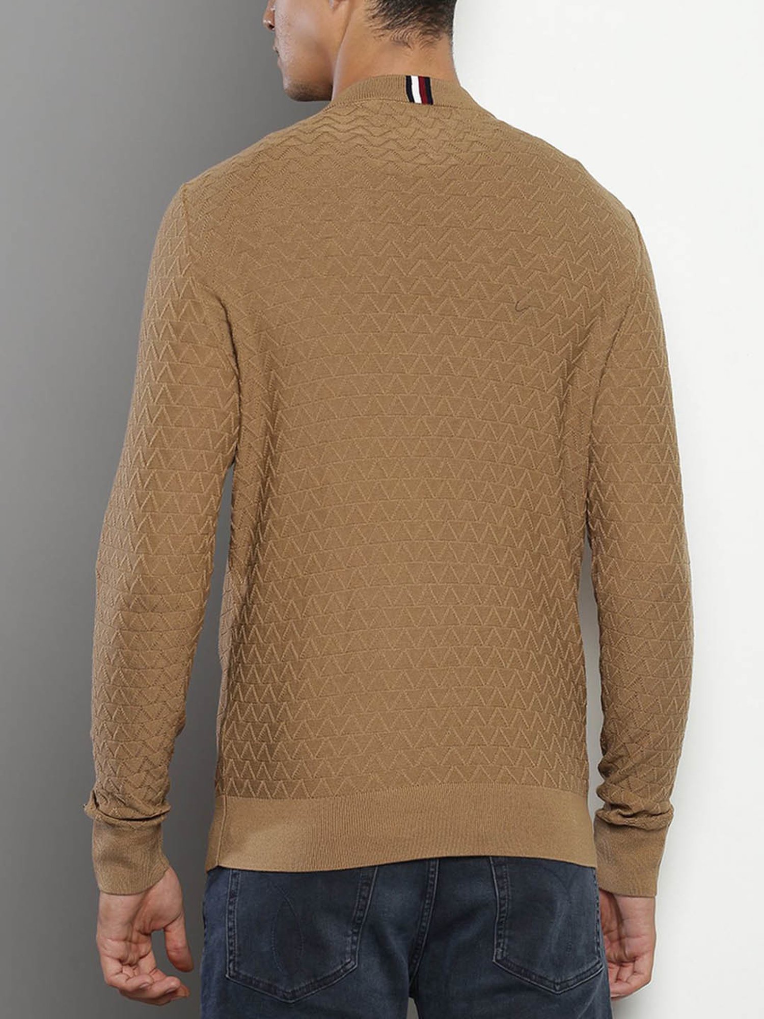 Tommy Hilfiger Beige Cotton Regular Fit Self Pattern Sweater