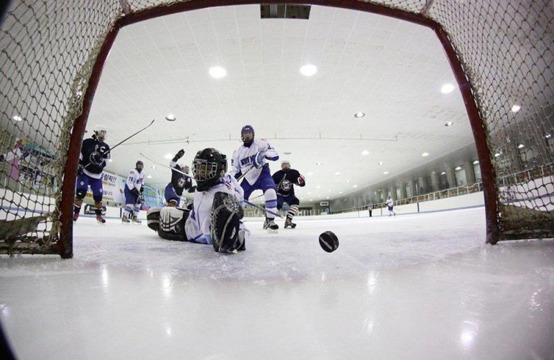 Rokinon 8mm f/3.5 HD Fisheye Lens with for Sony Alpha DSLRs #HD8M-S