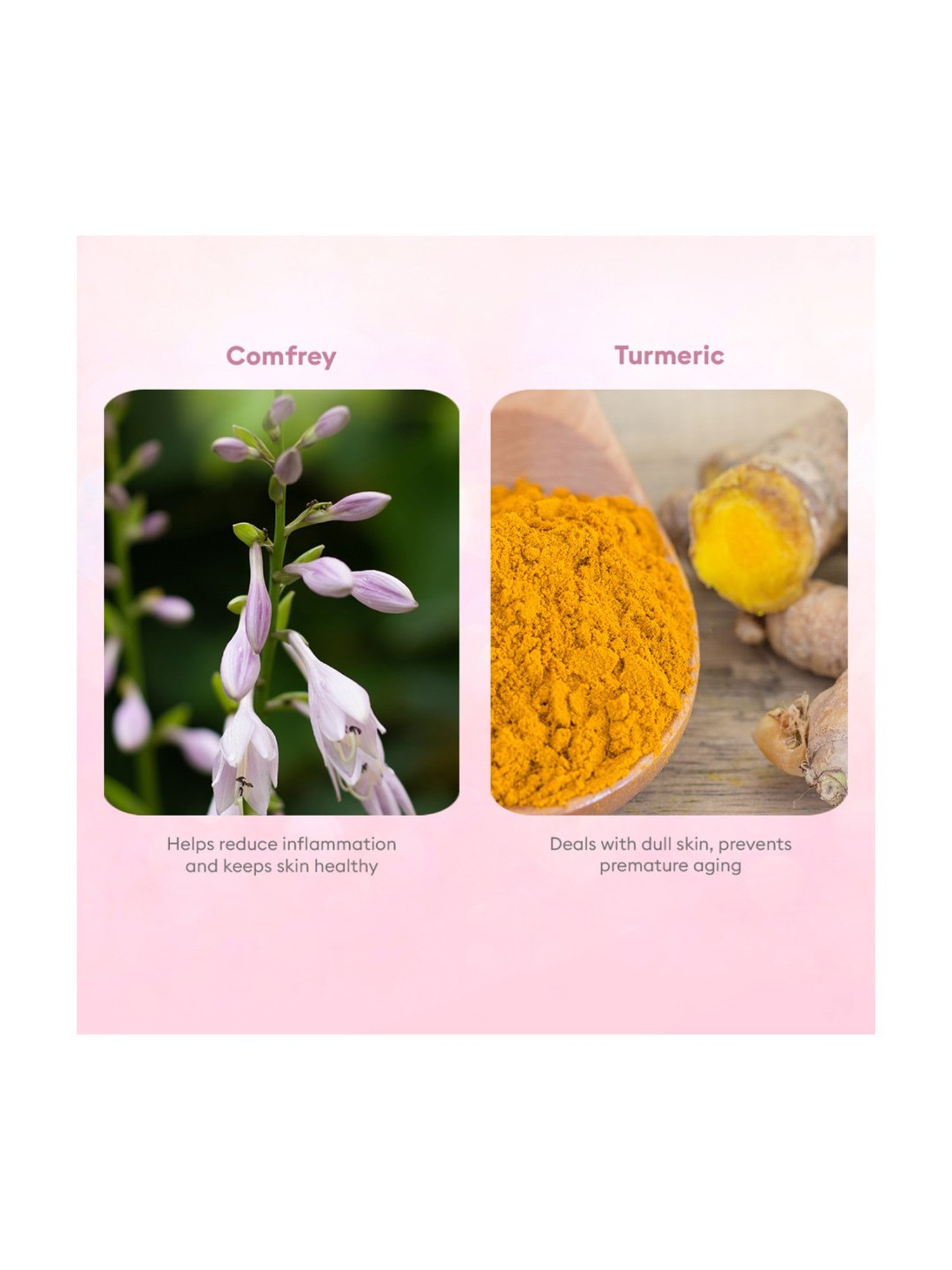 Globus Naturals Papaya Facial Kit