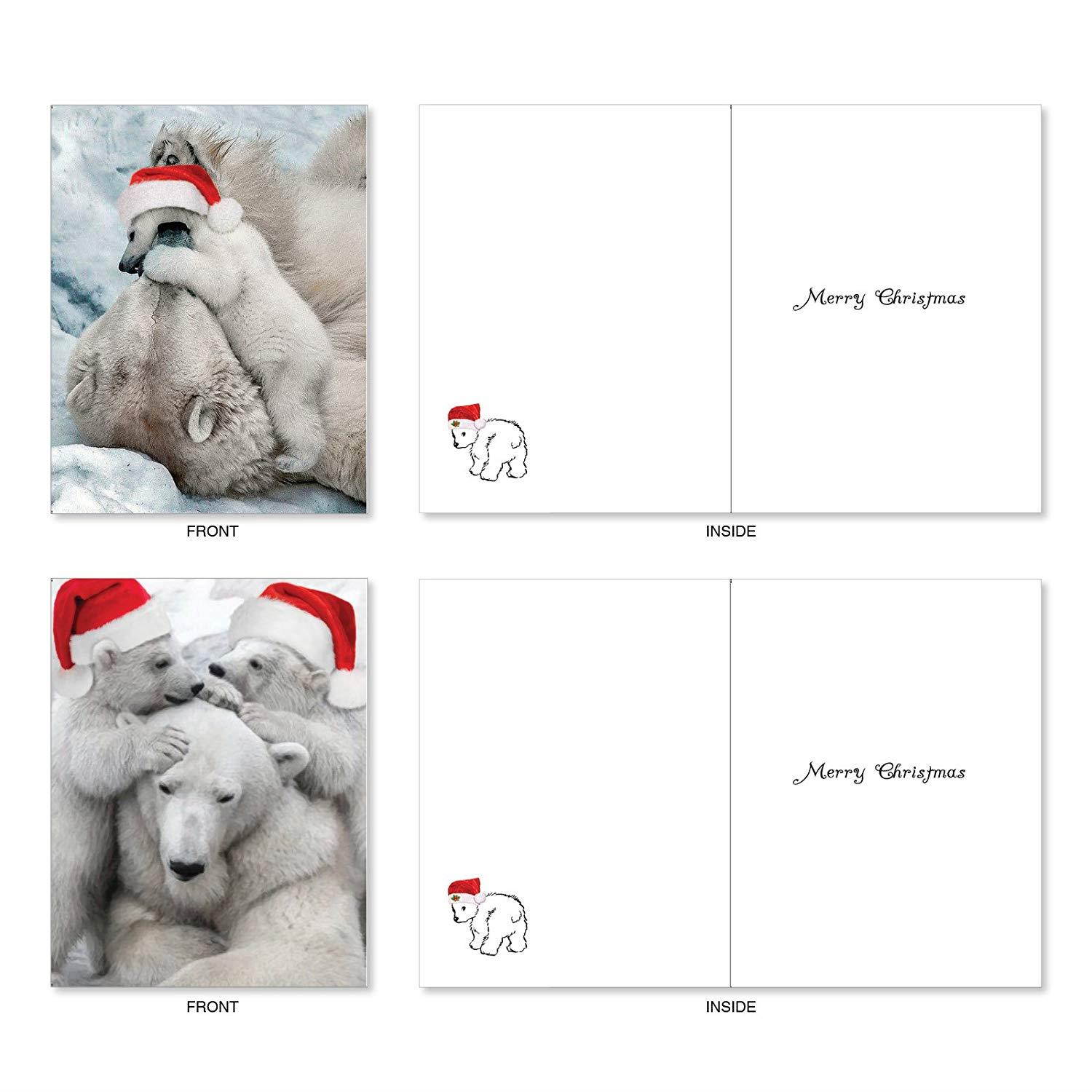 Bear Hugs: 10 Assorted Christmas Greeting Cards Santa's Hat and Lovable Polar Bears Cuddling, with Envelopes. AM6327XSG-B1x10